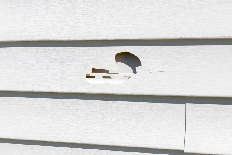 Professional Vinyl Siding Repair - Image 1